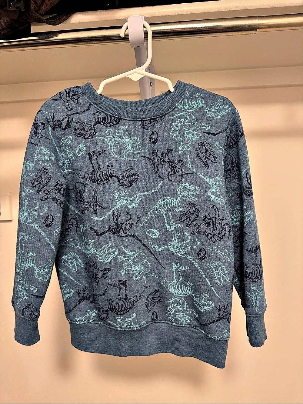 Cat & Jack Kids Dino 4T Sweatshirt